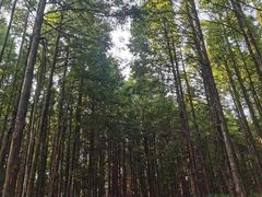 -山王坪喀斯特国家生态公园