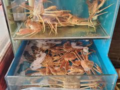 水产区-吉友粥底火锅(方斜路店)