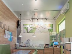 -油梨树AVOCADO TREE(顺义新国展店)