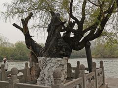 -济南大明湖景区