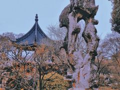 -无锡梅园公园