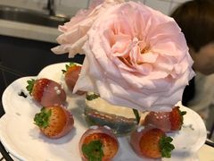 -植物学家的女儿(北马道巷店)