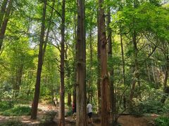 -秀沿路(地铁站)