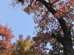 -白马涧龙池景区