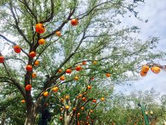 -奥兰多环球影城