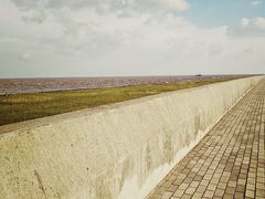 -南汇嘴观海公园