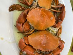 -秋姐美食店(海陵岛保利店)