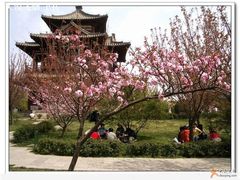 -西安青龙寺遗址景区