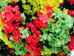 -百果园(三条巷店)