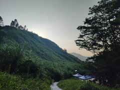 -黄埔油麻山森林公园
