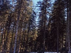 -硗碛藏寨·神木垒景区