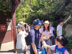 -玻璃桥景区石牛寨