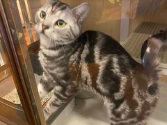 -老炮儿轰趴团建KTV桌游棋牌主题馆(五道口店（底商店))
