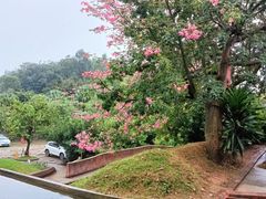-凤阁楼果木烧鹅(鹤山陈山店)