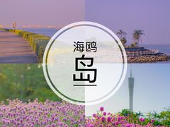 -海鸥岛