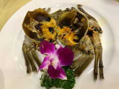 醉蟹-王宝和酒家(黄浦店)