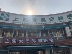 -爱侣宠医·鹦鹉专科·小型哺乳类·异宠专科(灵石路店)