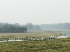 -北京麋鹿生态实验中心