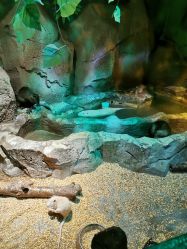 -酷嗒动物文化乐园(cutezoo西溪乐天城店)