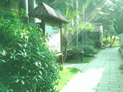 IMAG0230-厦门日月谷温泉渡假村