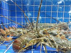 -徐记海鲜(汉城湖|太奥店)