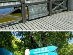 -上海鲜花港