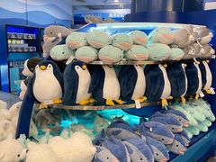 -上海海洋水族馆