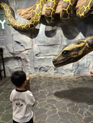 -Zoolung Zoolung动物主题公园(海信广场店)
