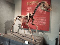 -齐齐哈尔市博物馆