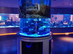 -上和臻品中国菜(花园街店)