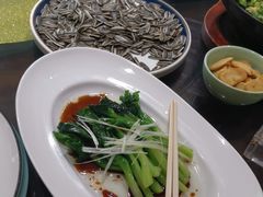 -中苑海韵