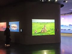 -罗红摄影艺术馆