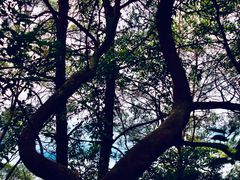 -白云山风景名胜区