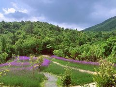 -梅州瑞山生态旅游度假村
