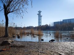-北京奥林匹克公园