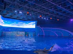 -海合安青岛极地海洋公园