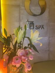 点击看大图 -栖SPA·ONDA ·海菲秀·皑皑科技美肤中心