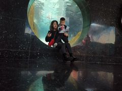 -成都浩海立方海洋公园