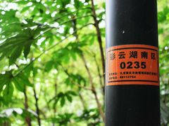 -重庆彩云湖湿地公园