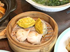 -山水茶艺馆·点心粤菜·30年老字号