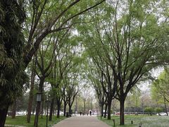 -唐城墙遗址公园