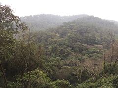 -三门江国家森林公园