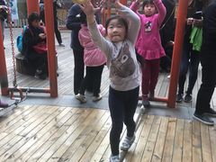 -中国福利会少年宫