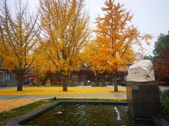 -北京鲁迅博物馆(北京新文化运动纪念馆鲁博馆区)