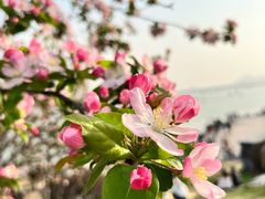 -云龙湖旅游景区