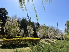 -元大都城垣遗址公园