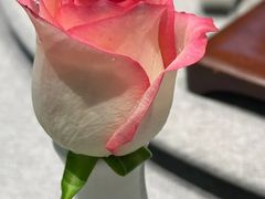 -虹御轩·传承江浙菜(虹桥店)