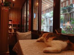 -隅cafe(傅厚岗店)