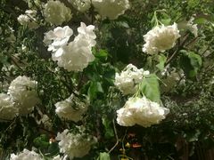 -春暖花开(西溪店)