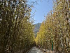 -蝴蝶泉公园